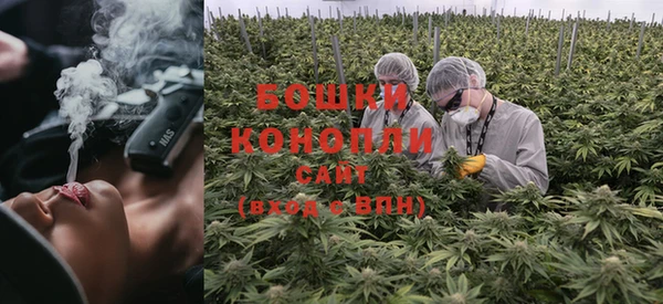 марки lsd Белокуриха