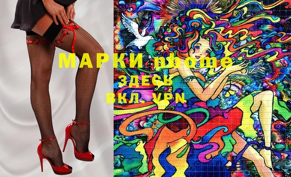 шишки Беломорск