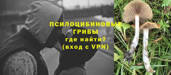 шишки Беломорск