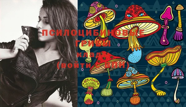 марки lsd Белокуриха