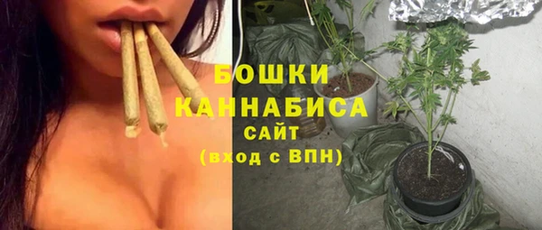 шишки Беломорск