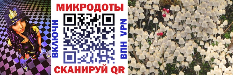 что такое наркотик Плёс Псилоцибиновые грибы прущие грибы